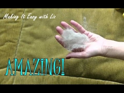 How To Remove Pet Hair